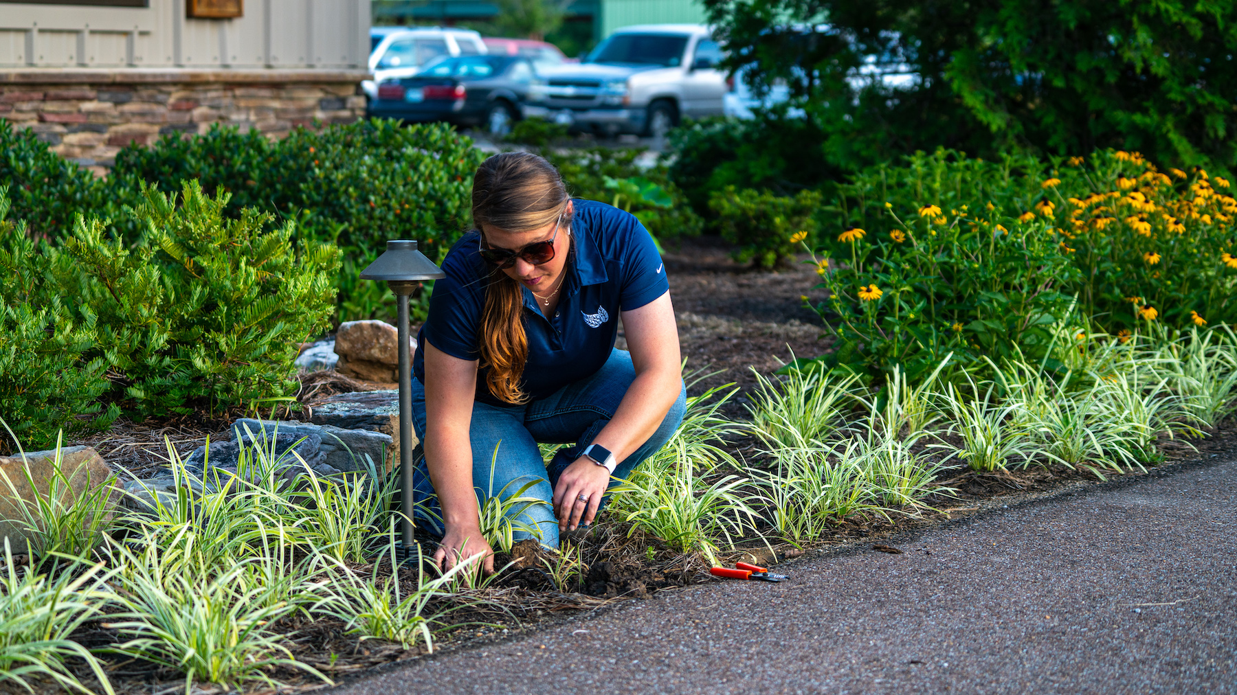 top commercial landscapers